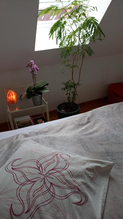 Agnes Vintage Home Hannover Esterno foto